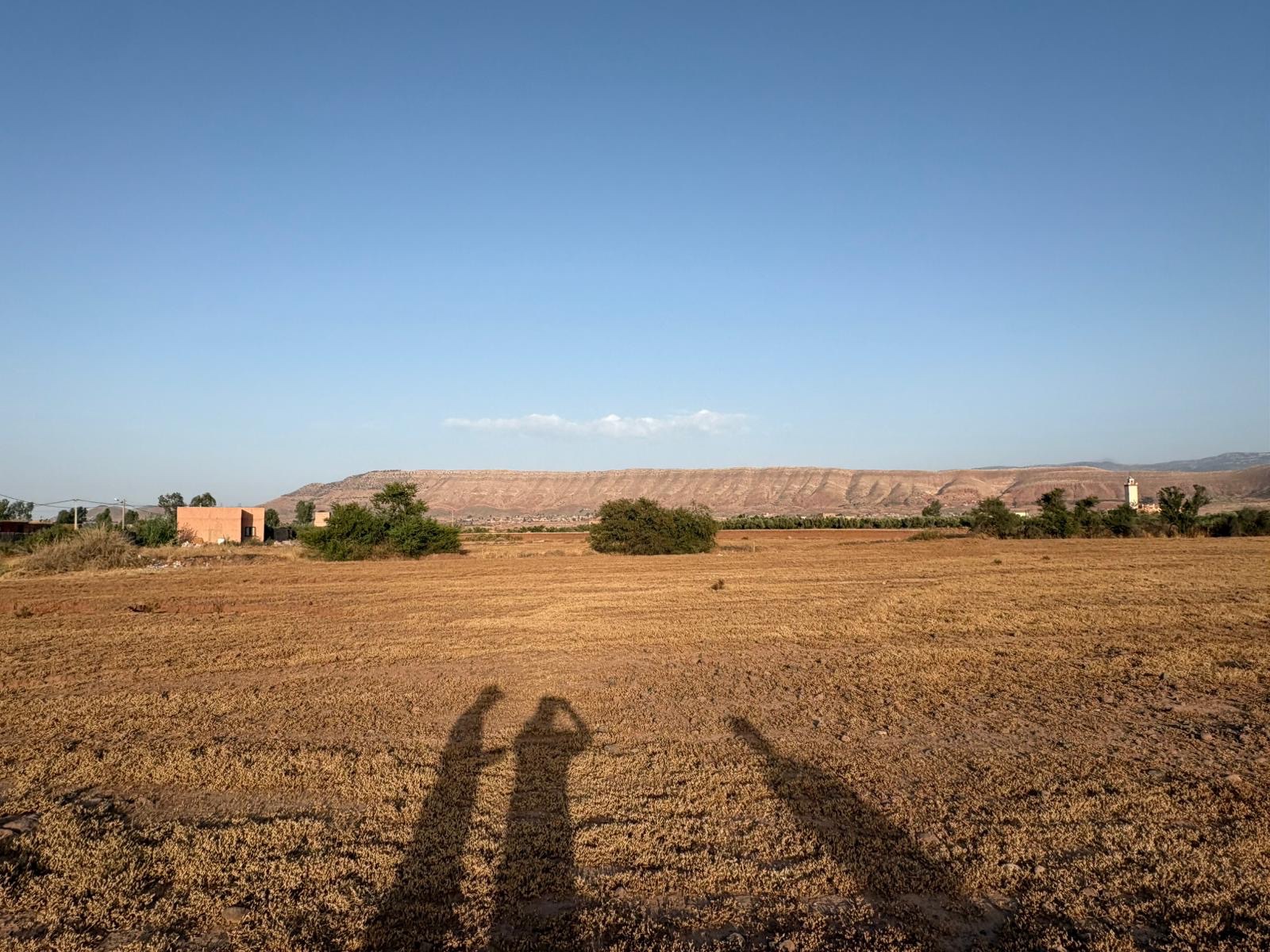Terrain agricole 1,8 ha à vendre, Route Ouarzazate, Marrakech — miniature 3
