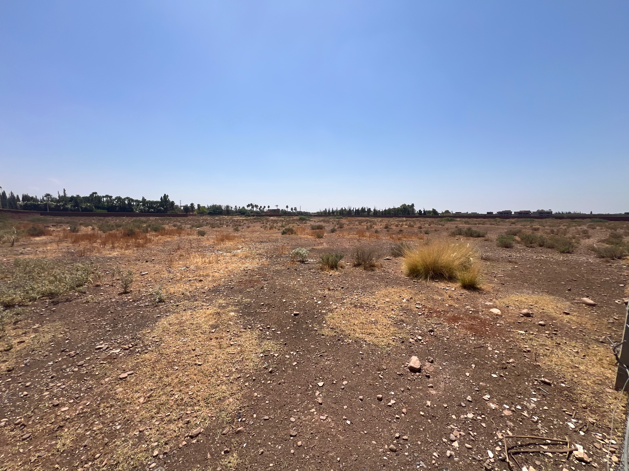 Vente / Achat : Terrain SD1 , 5 ha , Marrakech , route ourika  — miniature 7