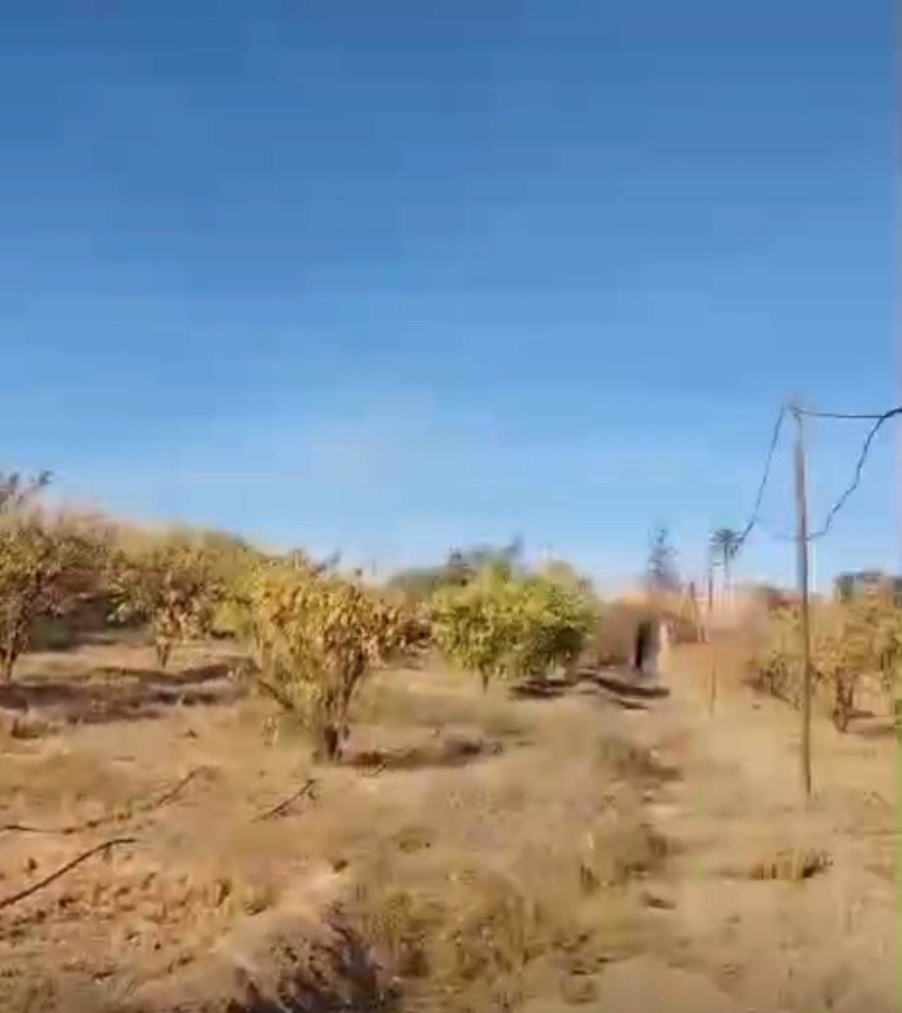 Ferme 3,5 ha à vendre, Route de Fès, Marrakech — miniature 7