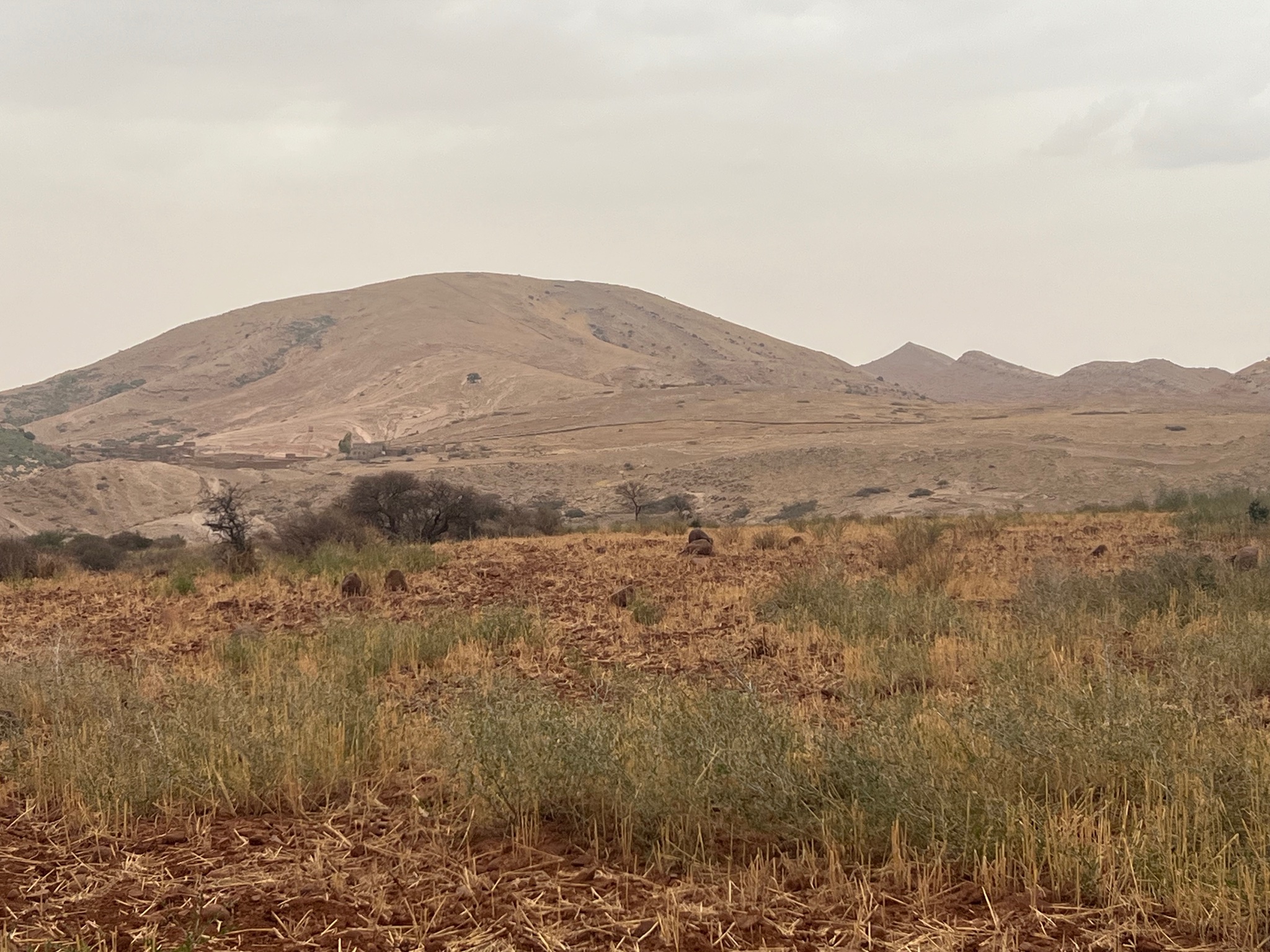Terrain 3,07 ha à vendre, Sidi Abdellah Ghiate, Marrakech — miniature 9