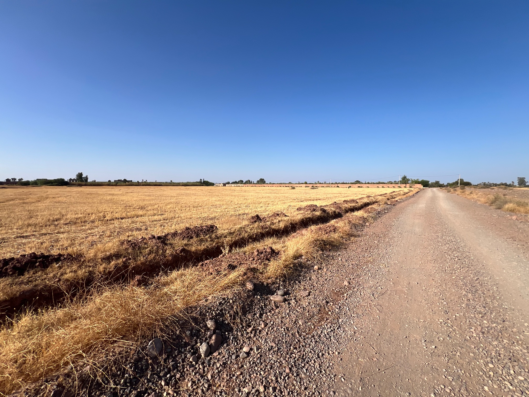 Vente / Achat : Terrain zone touristique, 6,3 ha , Route de tahanaoute , Marrakech  — miniature 8