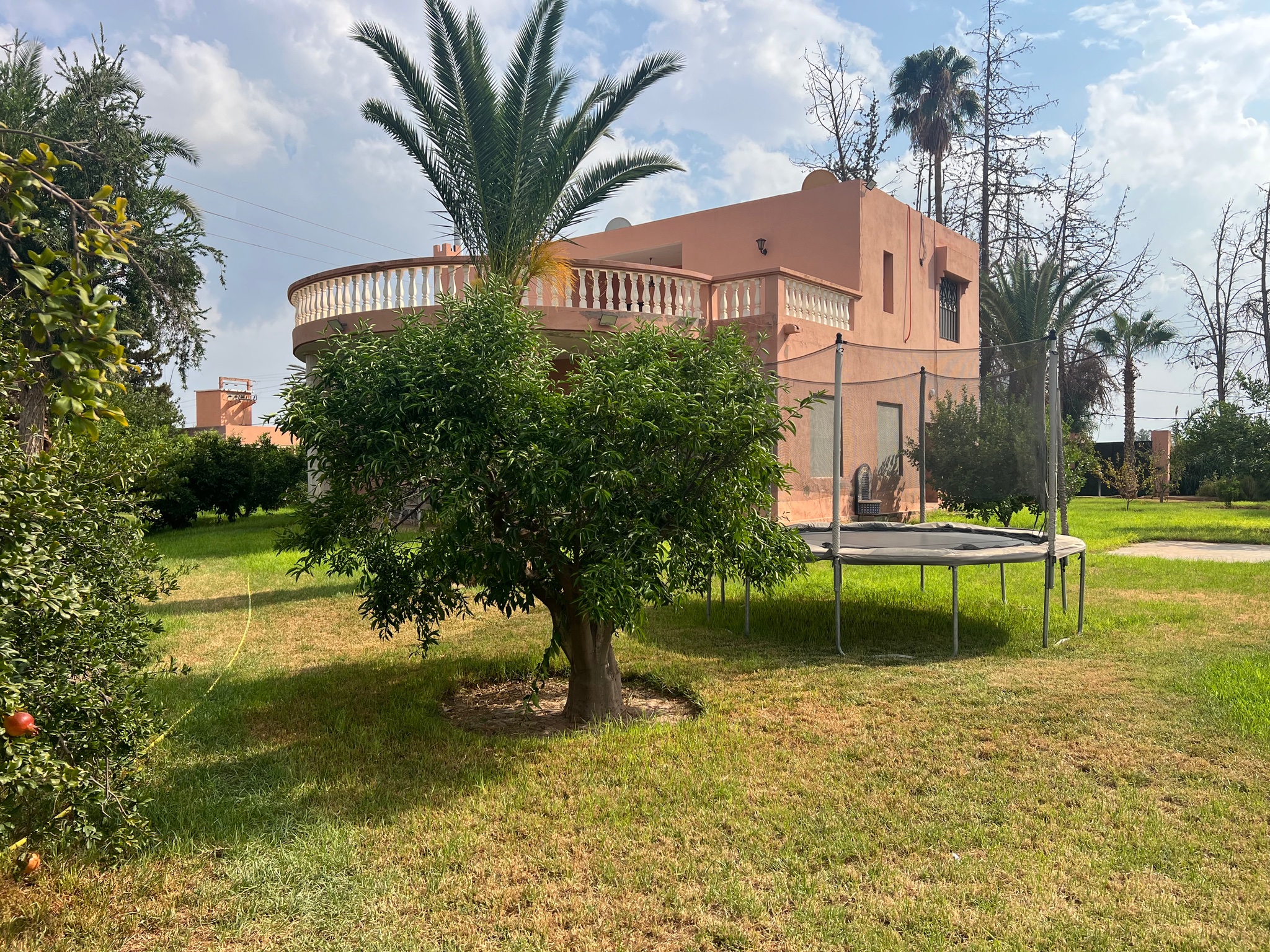 Ferme agricole 44 ha à vendre Souihla, Marrakech — miniature 14