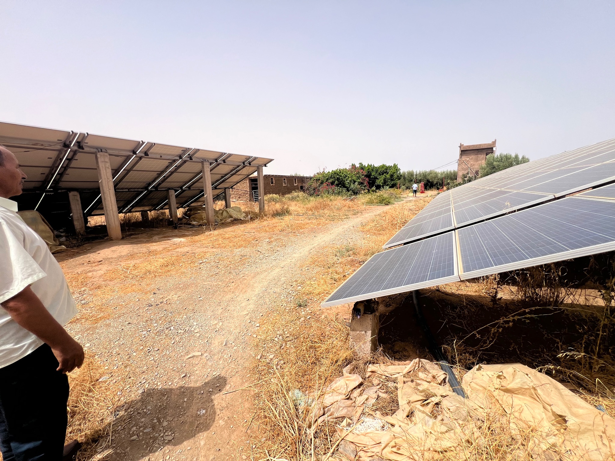 Ferme agricole 18,5 ha à vendre, Tamlalte, Marrakech — miniature 13