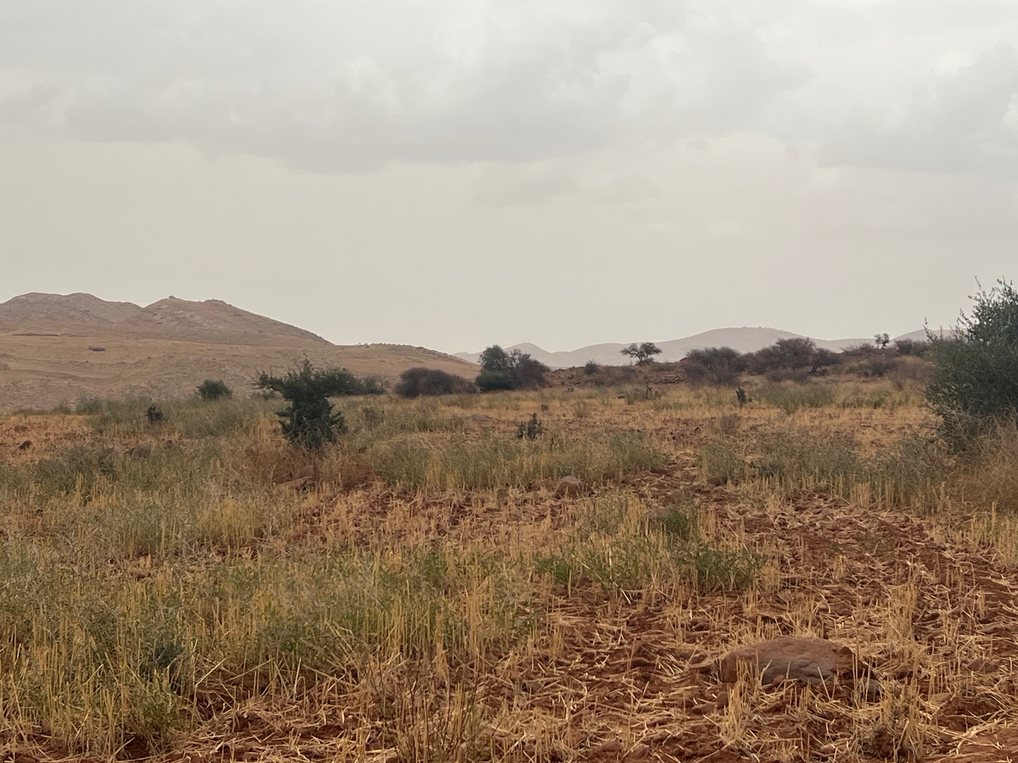 Terrain 3,07 ha à vendre, Sidi Abdellah Ghiate, Marrakech — miniature 10