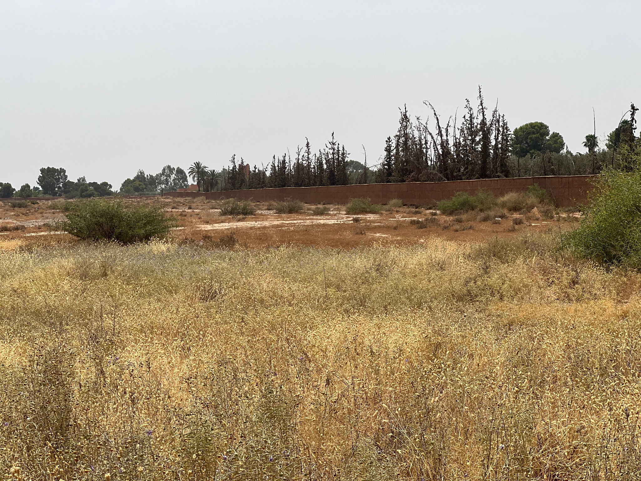 Terrain 2,2 ha zone villa à vendre, Route de Fès, Marrakech — miniature 7