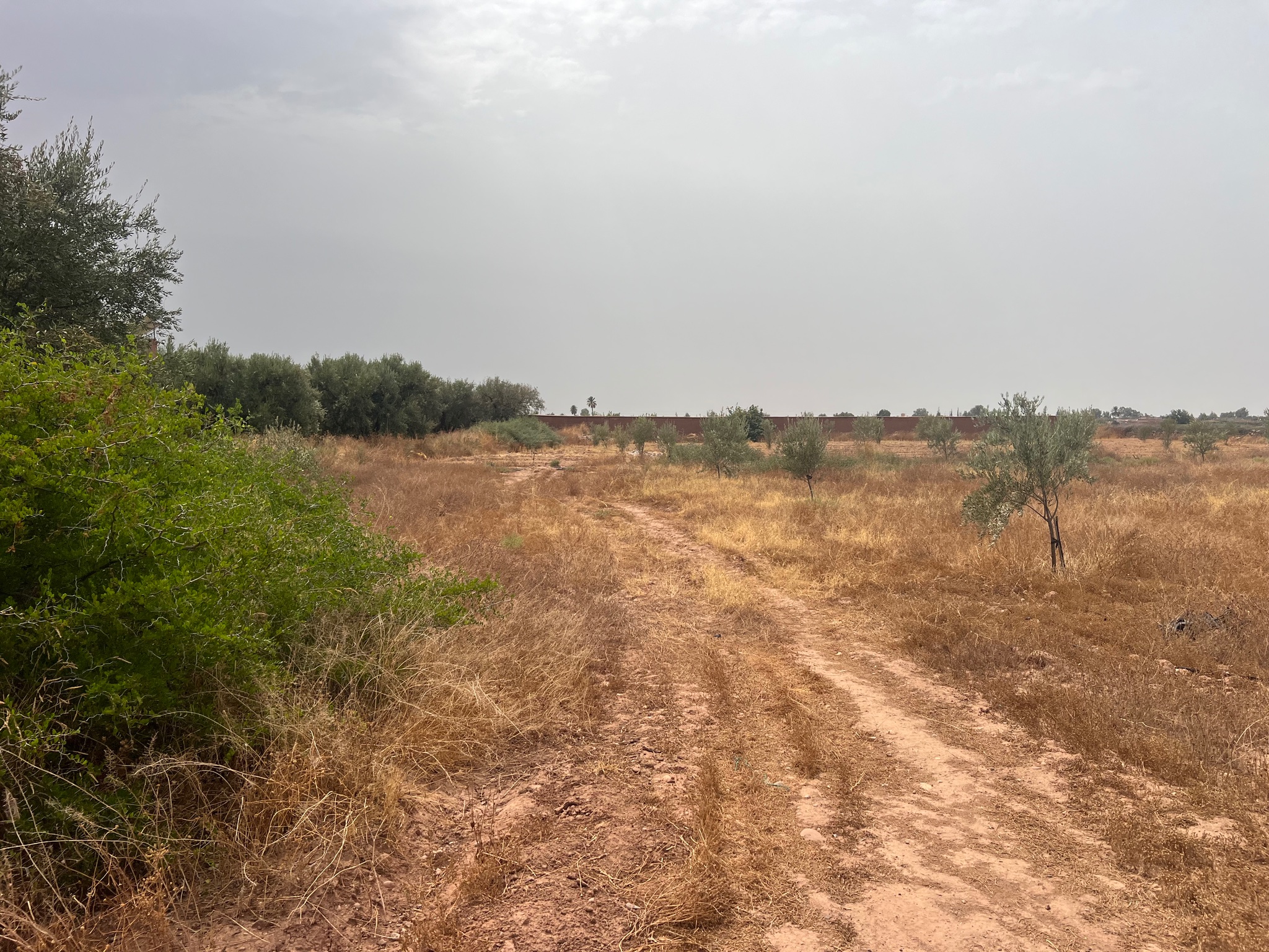 Terrain 2400 m² à vendre à Sidi Abdellah Ghiate, Marrakech — miniature 2