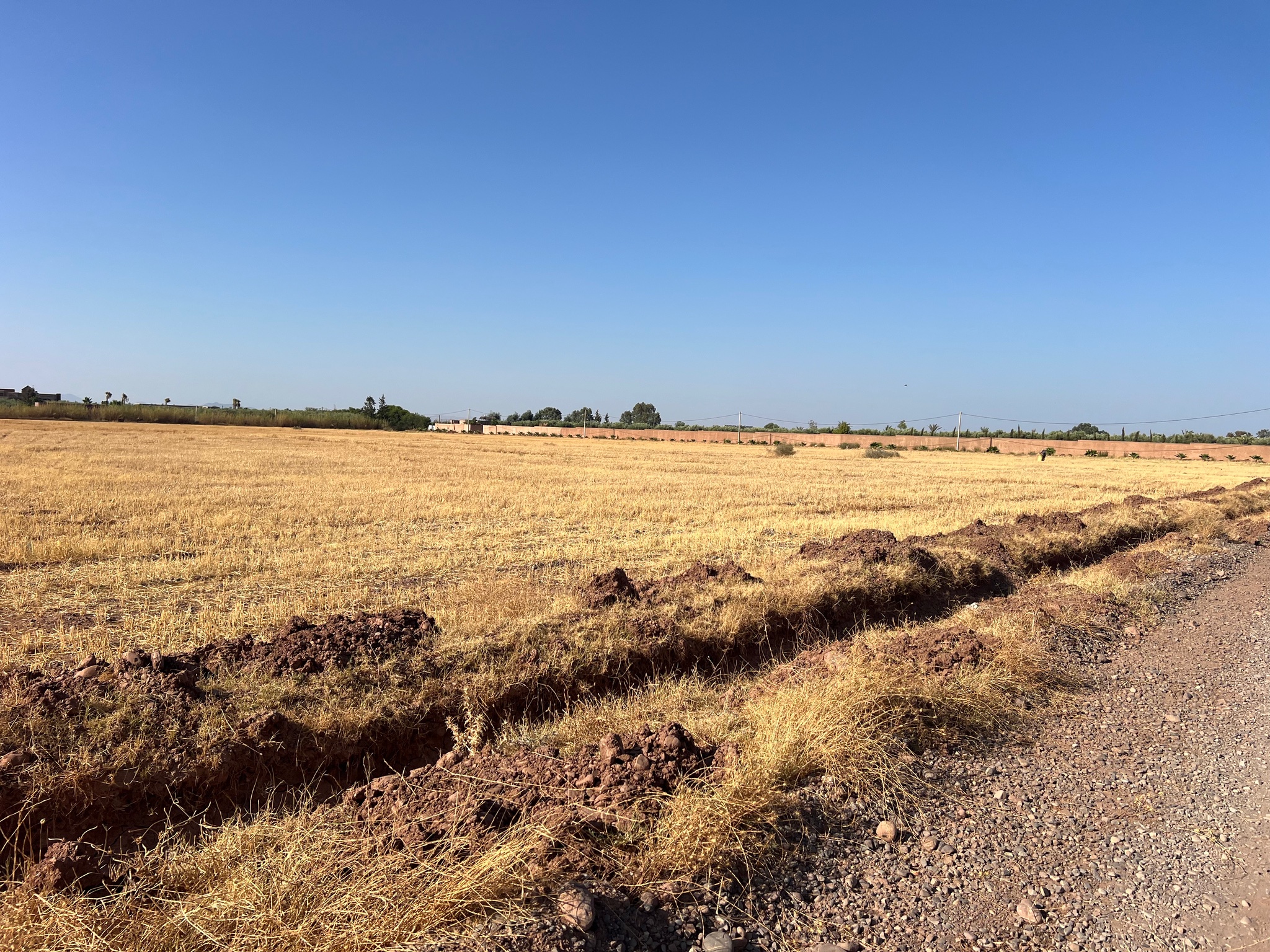 Vente / Achat : Terrain zone touristique, 6,3 ha , Route de tahanaoute , Marrakech  — miniature 7