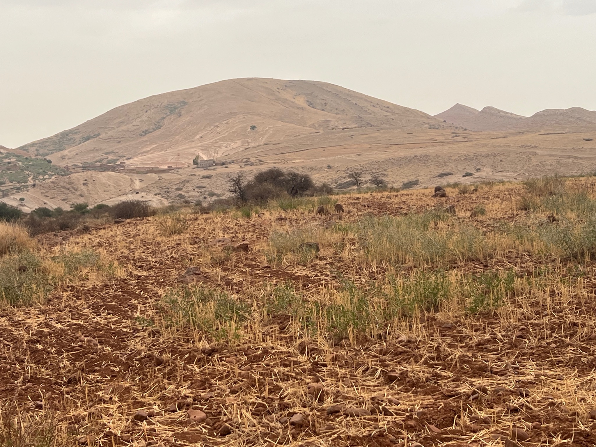 Terrain 3,07 ha à vendre, Sidi Abdellah Ghiate, Marrakech — miniature 4