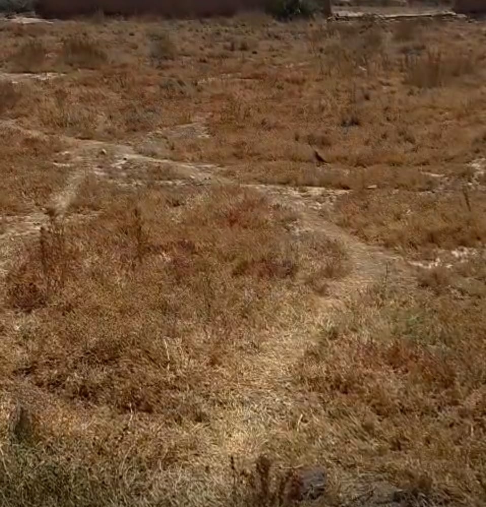 Terrain 1,45 ha à vendre, Route de Fès, Marrakech — photo 7