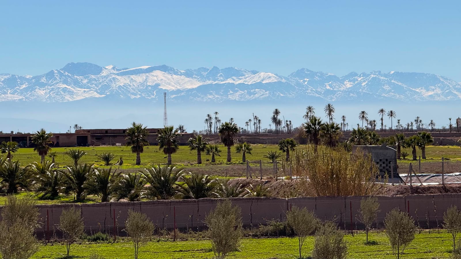 Ferme à vendre avec maison , (VNA ) déjà existante , Marrakech, route de  Fès  — miniature 8