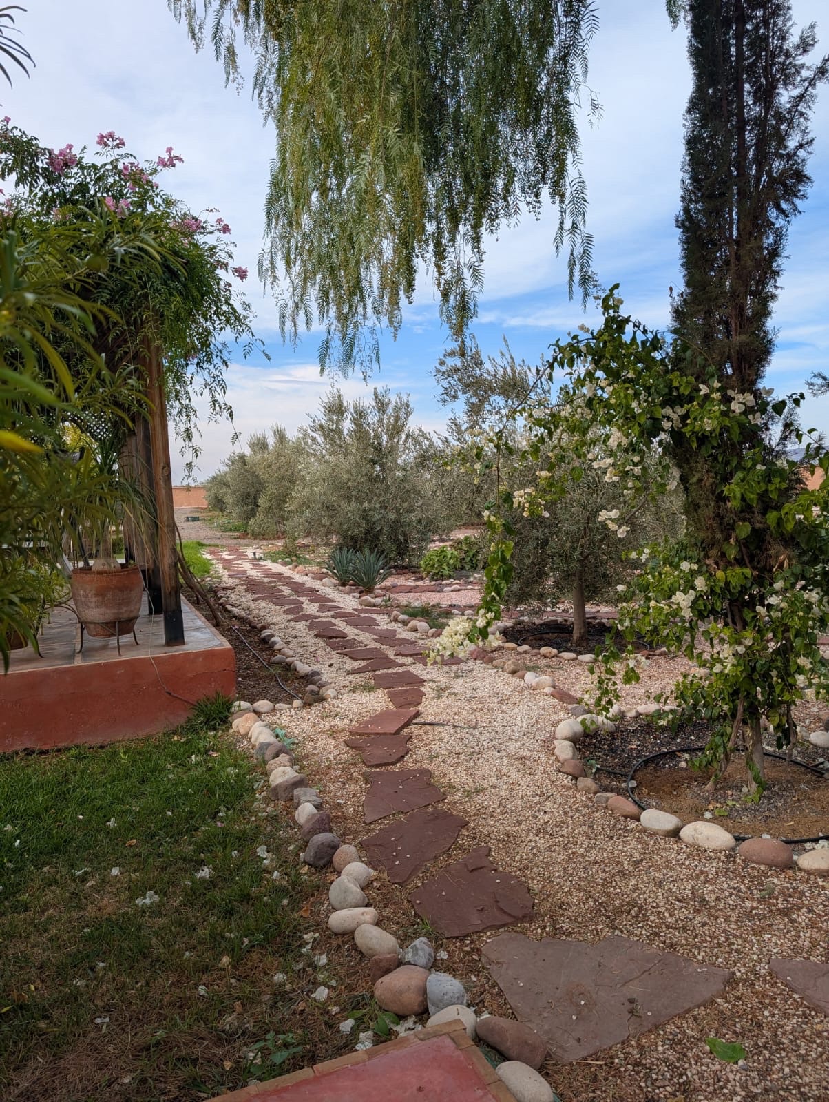 Maison de Campagne 10 Ch. à Louer, 1,3 ha, Route de Fès Marrakech — miniature 17