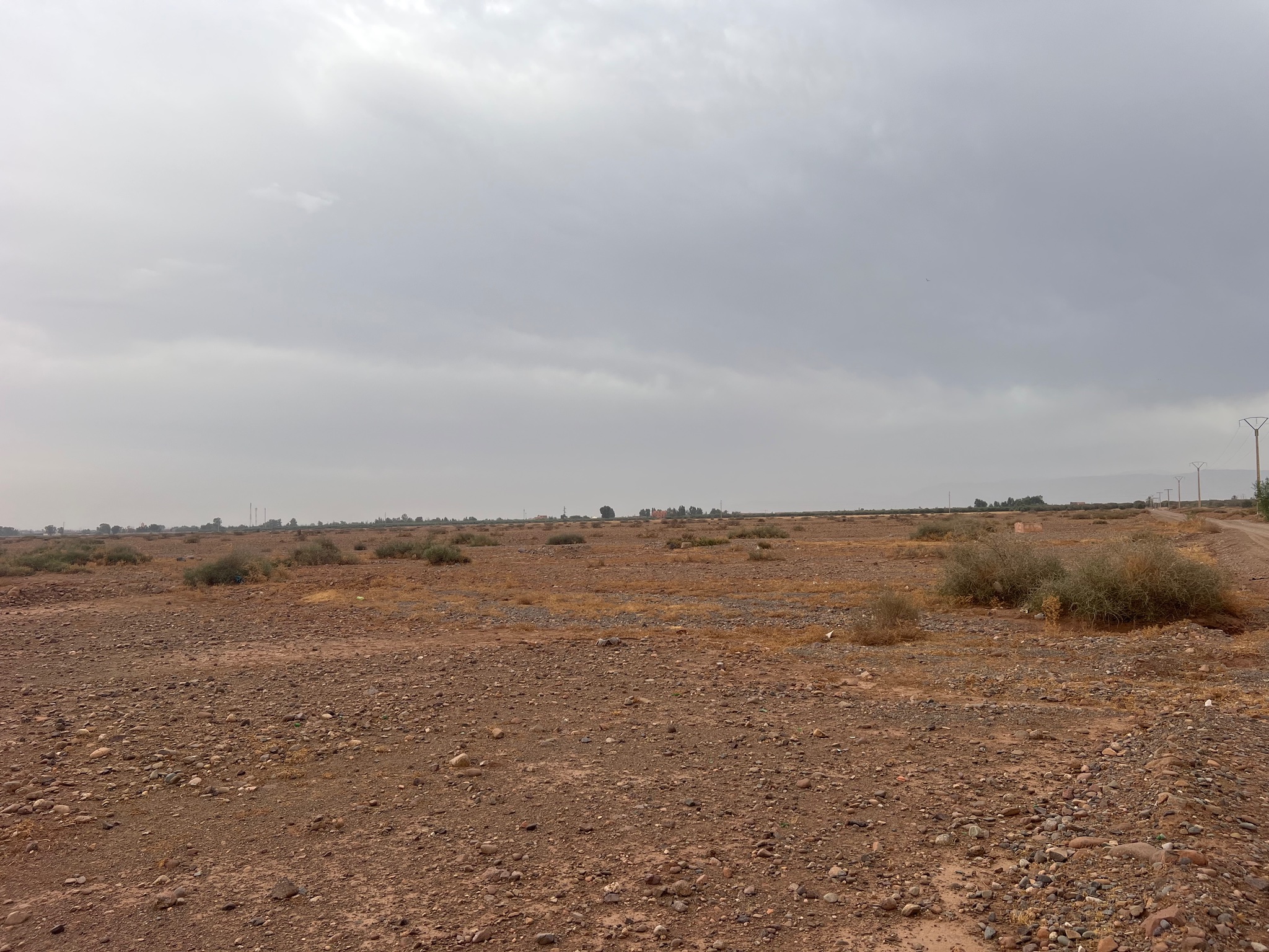 Terrain titré 36 ha à vendre, Route de Tahanaout, Marrakech — miniature 5