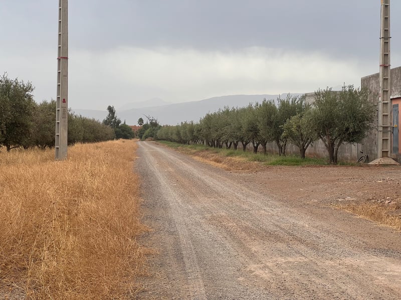 Terrain 16 ha à vendre, Route de Tahanaoute, Marrakech — Terrain, Marrakech