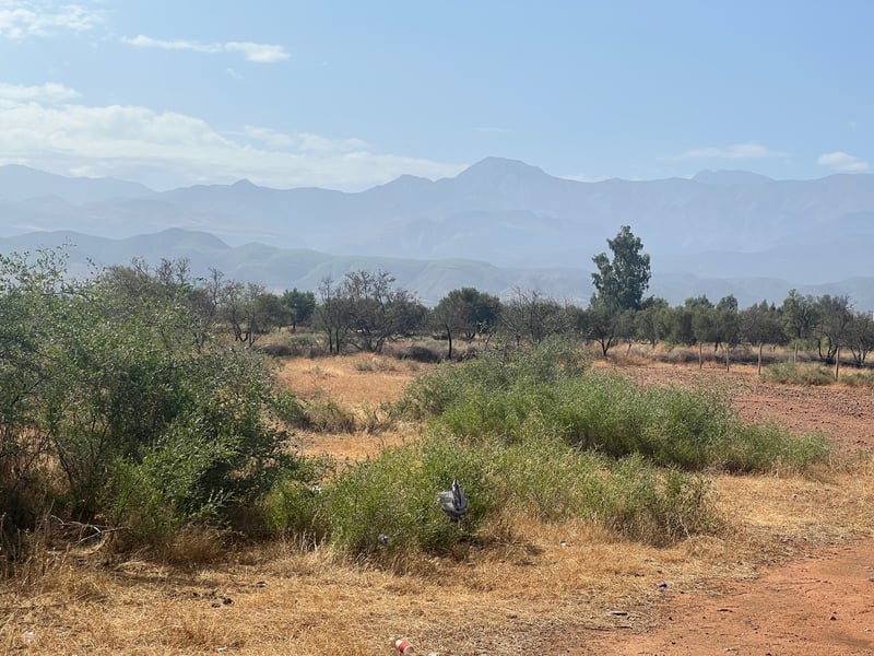 Terrain 1, 25 ha à vendre, face Atlas, Route de l'Ourika, Marrakech — Terrain, Marrakech
