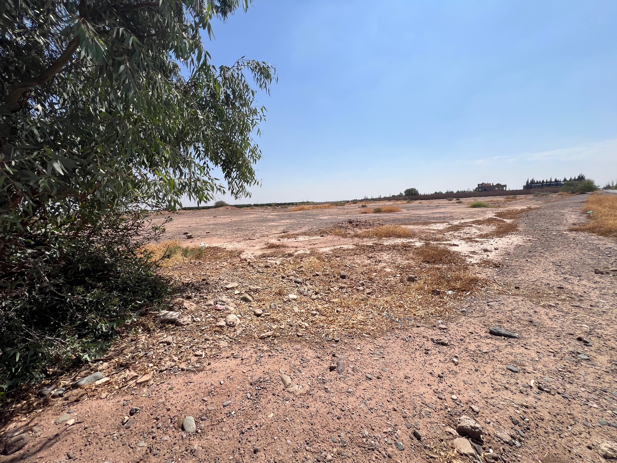 Terrain à vendre proche de la zone urbaine , 13 ha , afak , Marrakech  — miniature 9