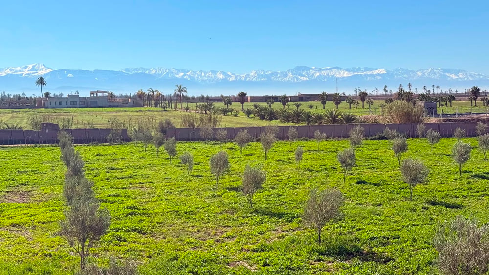 Ferme à vendre avec maison , (VNA ) déjà existante , Marrakech, route de  Fès  — photo 5