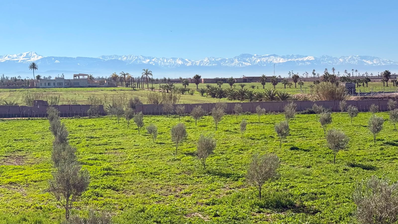 Ferme à vendre avec maison , (VNA ) déjà existante , Marrakech, route de  Fès  — miniature 5
