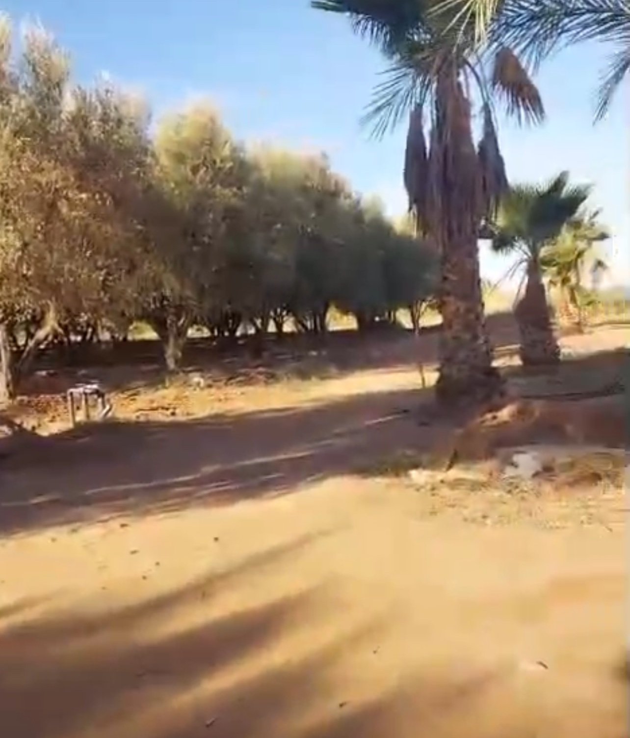 Ferme 3, 5 ha à vendre, Route de Fès, Marrakech — Ferme, Centre Commune Ouled Hassoune