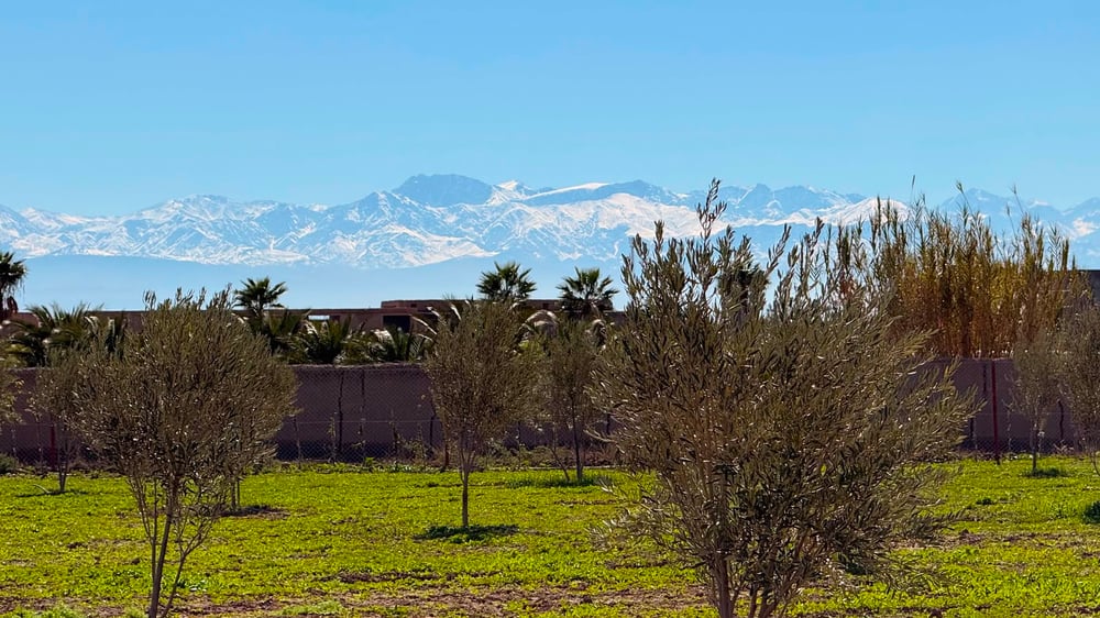 Ferme à vendre avec maison , (VNA ) déjà existante , Marrakech, route de  Fès  — photo 3