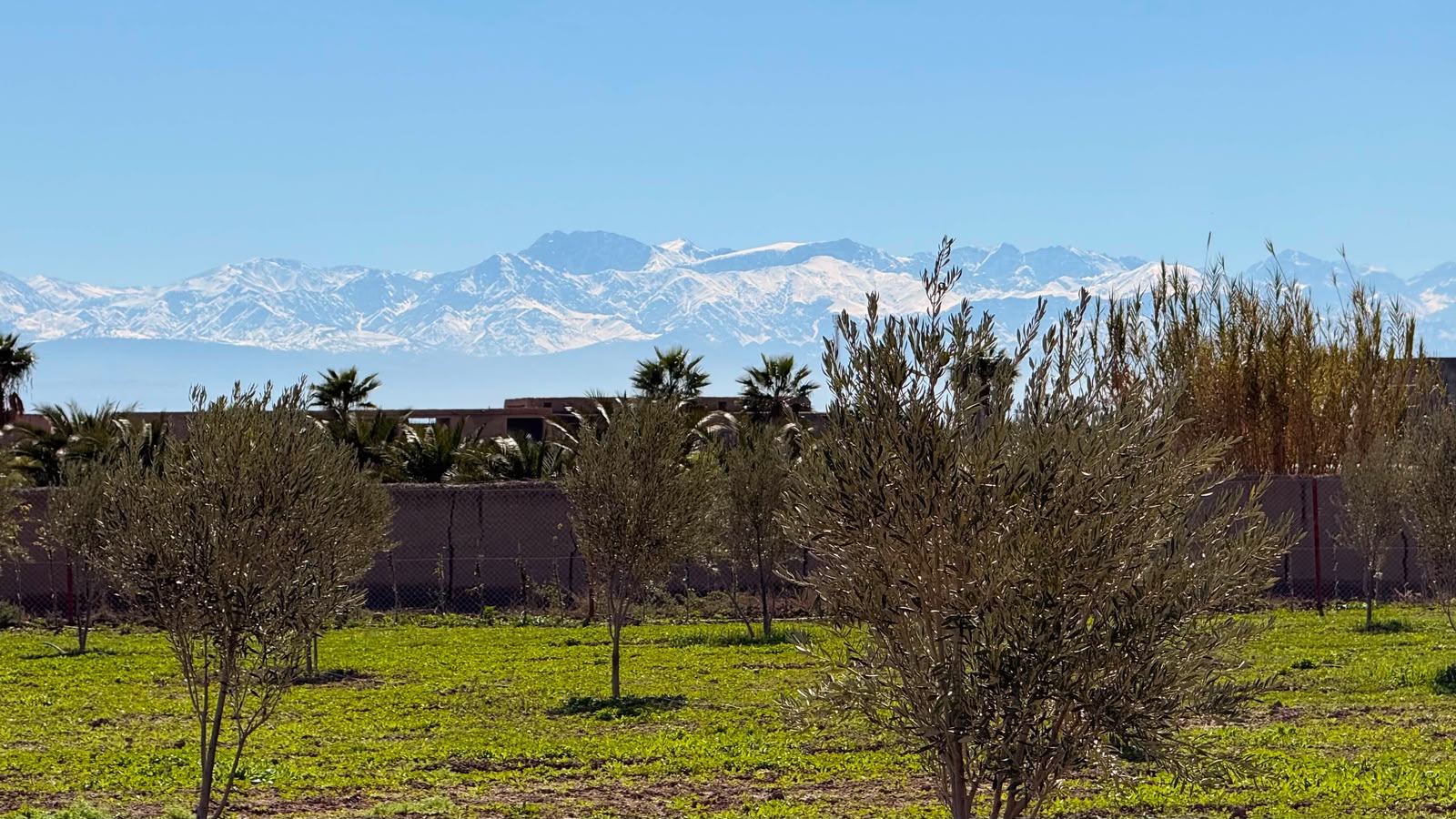 Ferme à vendre avec maison , (VNA ) déjà existante , Marrakech, route de  Fès  — miniature 3