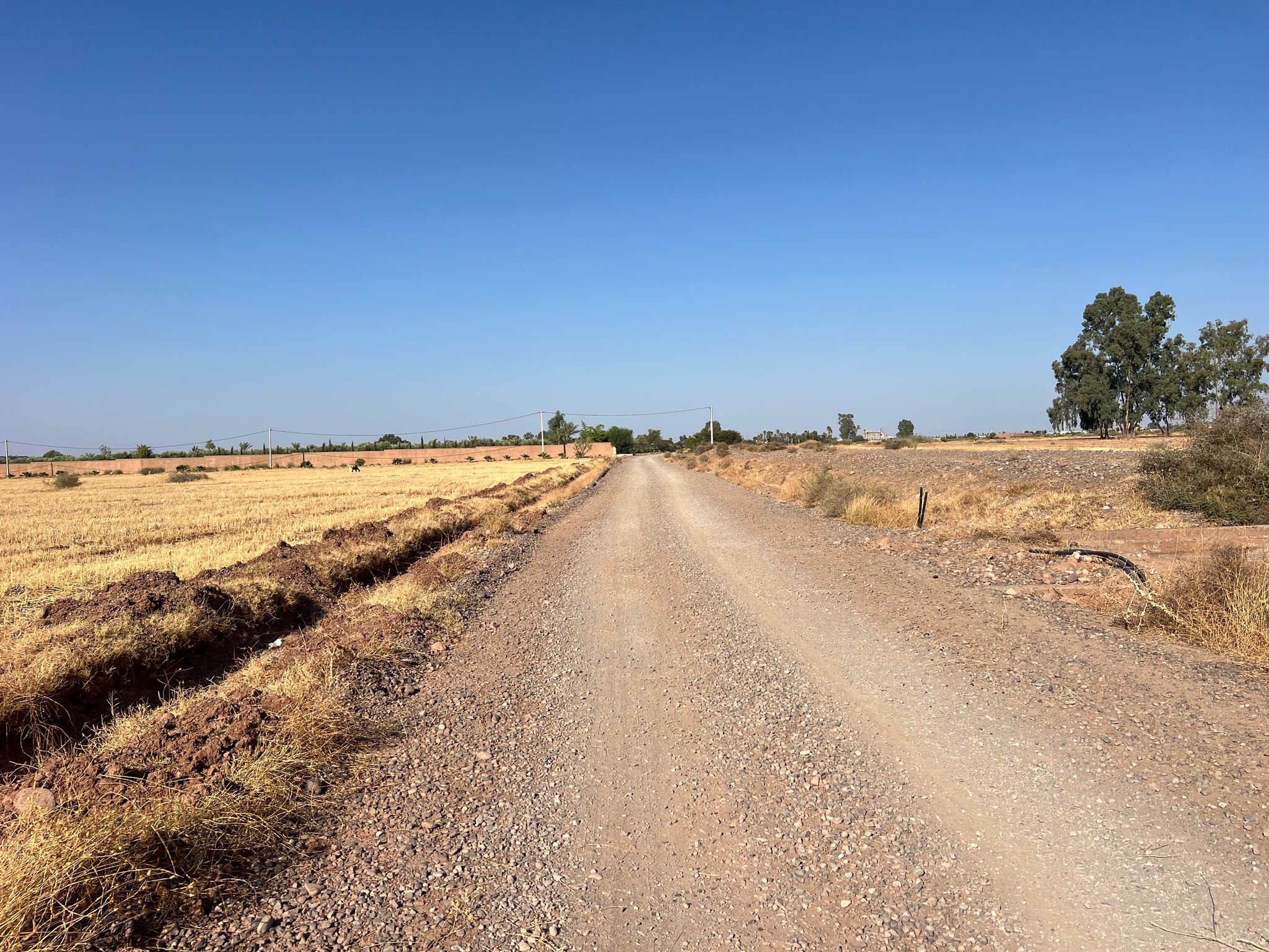 Vente / Achat : Terrain zone touristique, 6,3 ha , Route de tahanaoute , Marrakech  — miniature 5