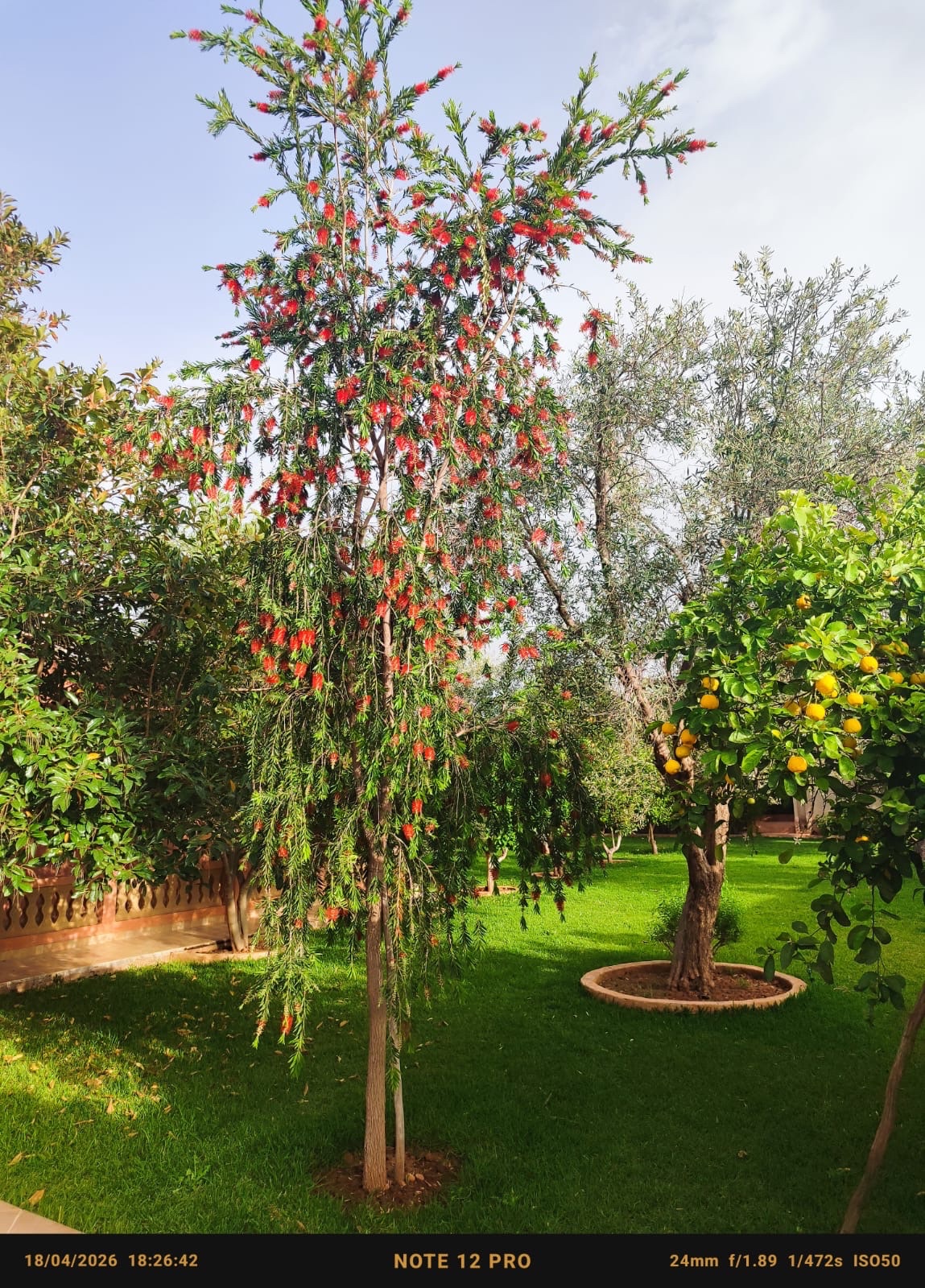 Villa de campagne 4 ch. à louer Sidi Abdellah Ghiate, Marrakech — miniature 23