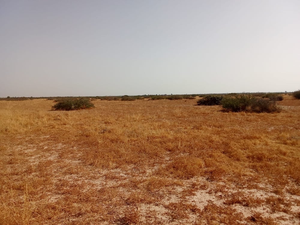 Terrain agricole 102 ha à vendre à M'jat, Guemassa, Marrakech — photo 8