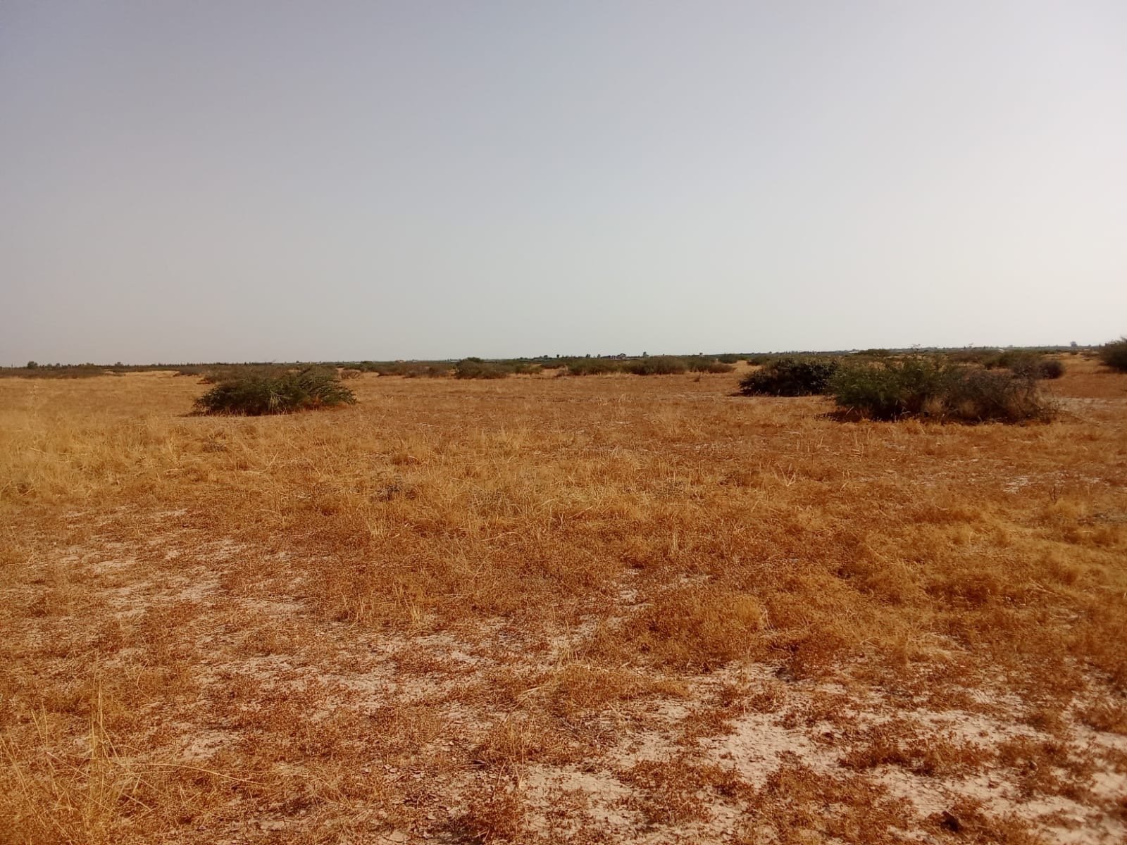 Terrain agricole 102 ha à vendre à M'jat, Guemassa, Marrakech — miniature 8