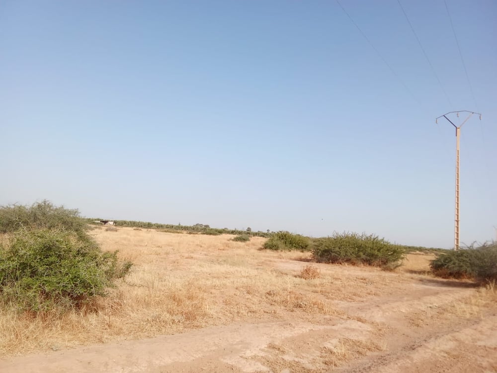 Terrain agricole 102 ha à vendre à M'jat, Guemassa, Marrakech — photo 11