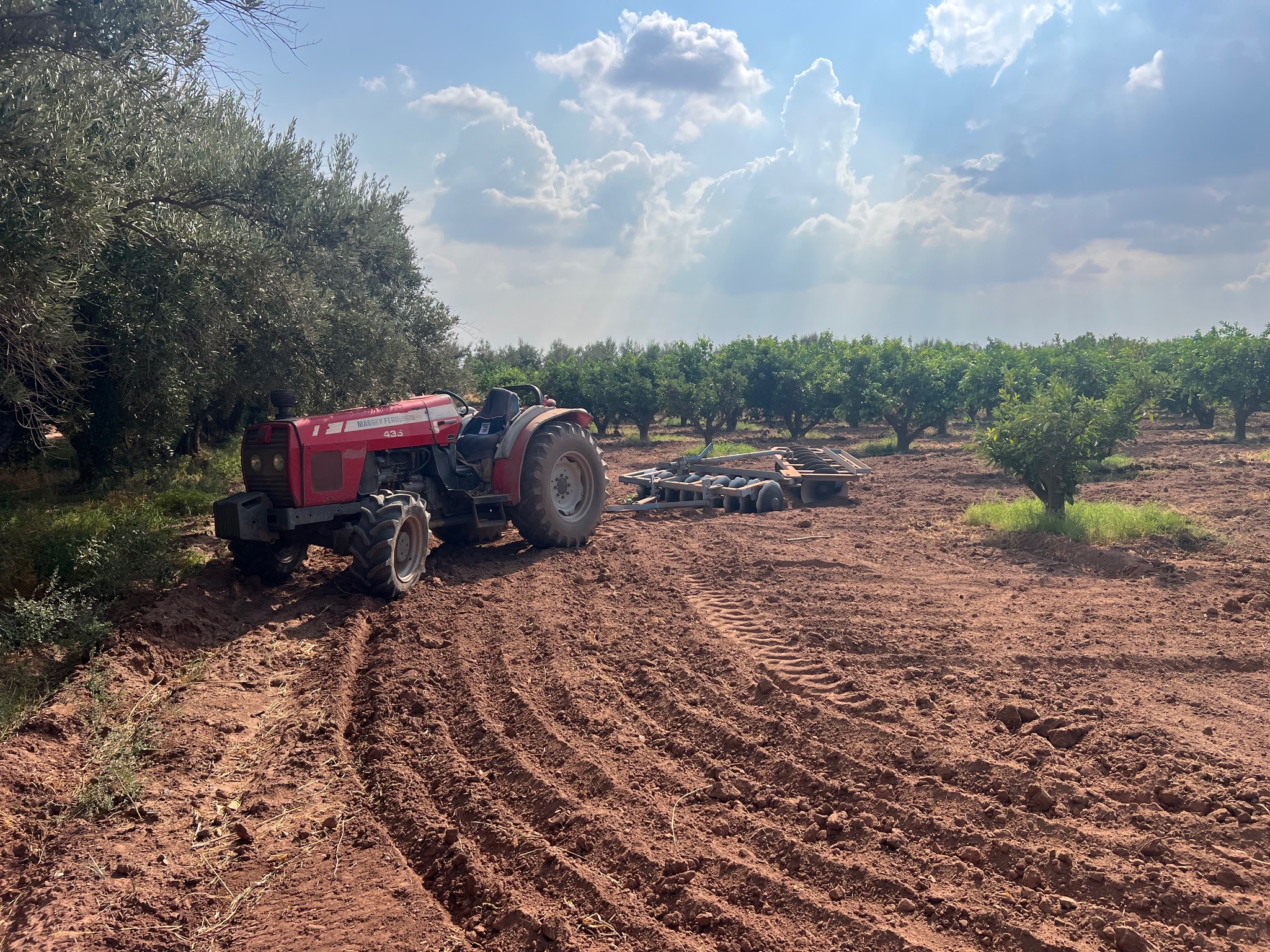Ferme agricole 44 ha à vendre Souihla, Marrakech — miniature 4