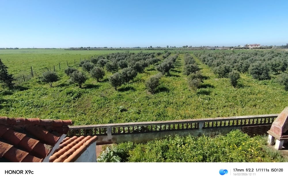 Exceptionnelle ferme agricole à vendre, Ouled Yahya, Benslimane — photo 14