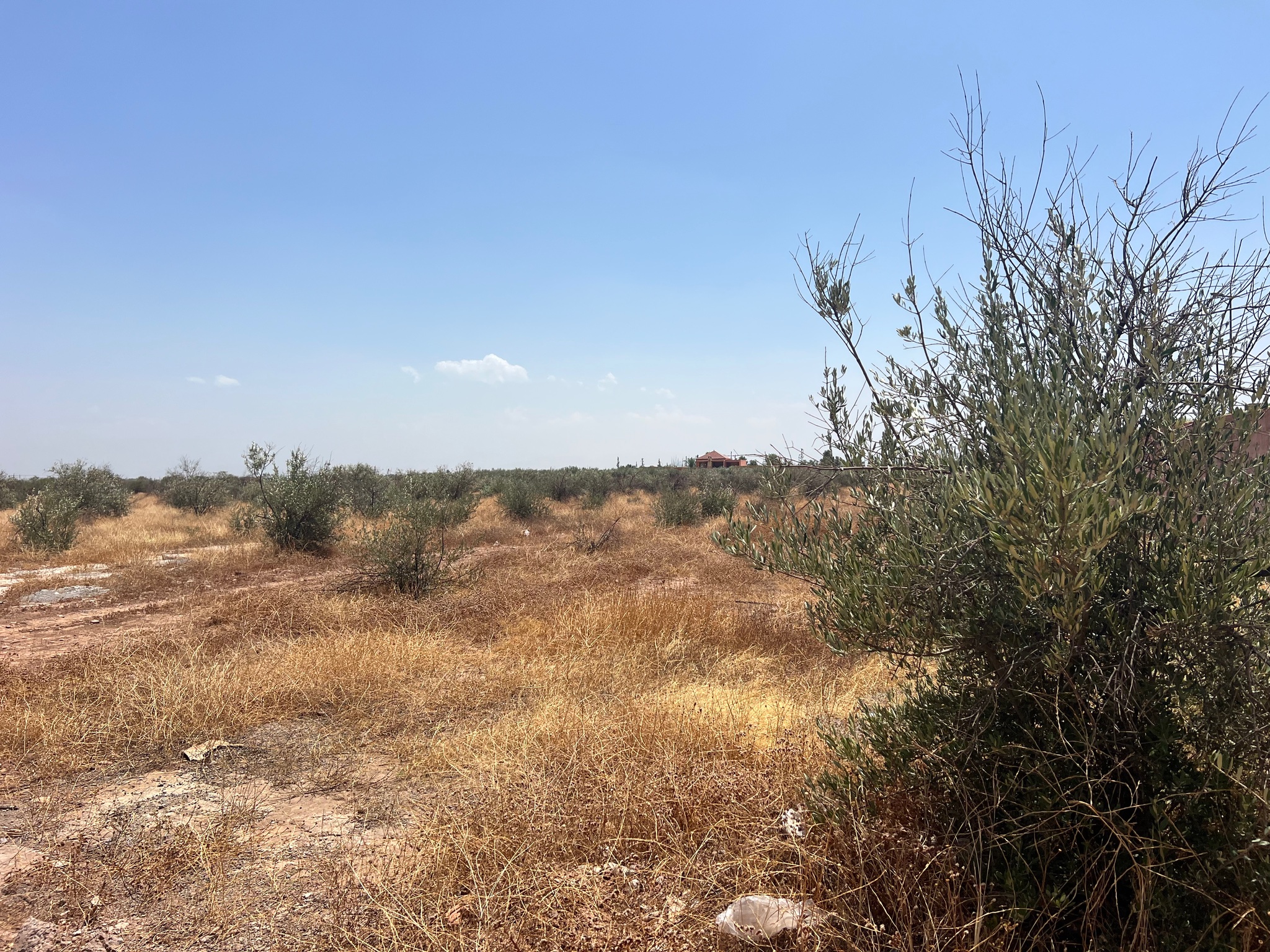 Achat/ vente : projet de villas autorisés. Terrain  SD1 route ourika , Marrakech  — miniature 5