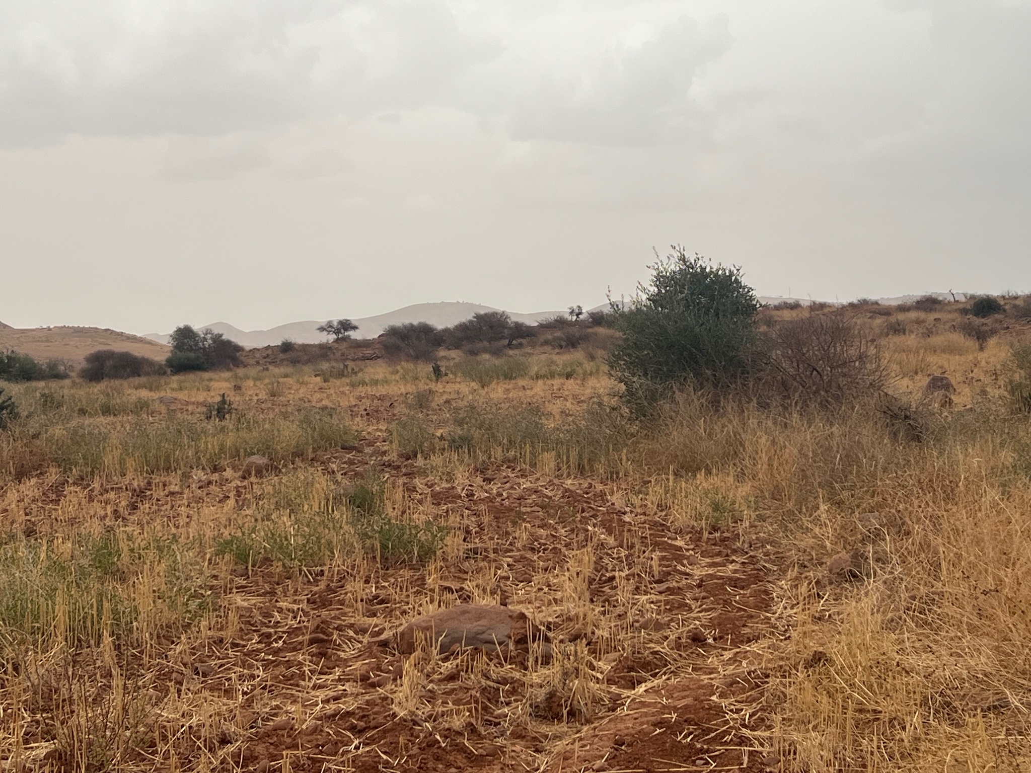 Terrain 3,07 ha à vendre, Sidi Abdellah Ghiate, Marrakech — miniature 2