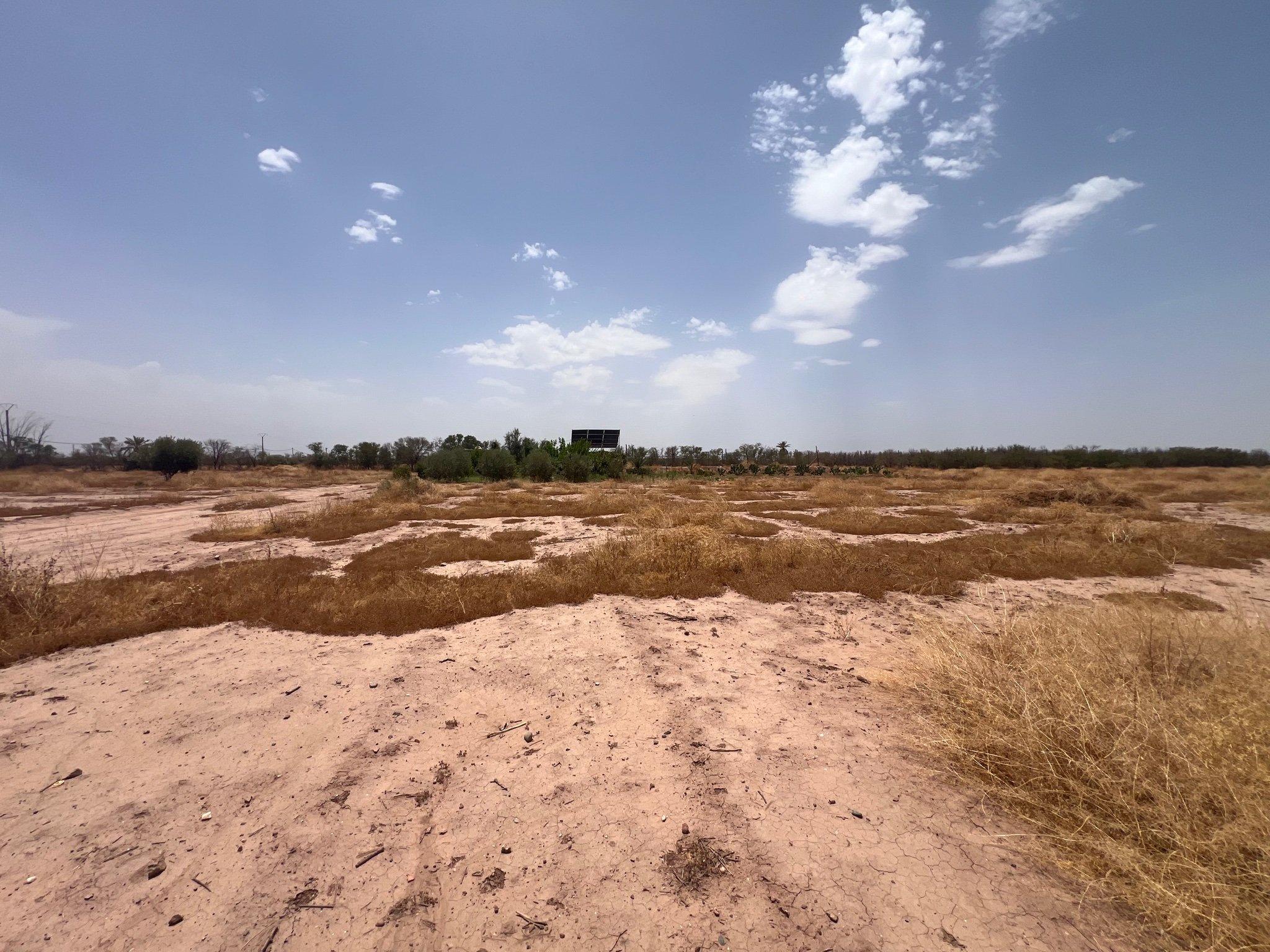 Terrain 5 ha à vendre près Marjane, Route d'Agadir, Marrakech — Terrain, Marrakech