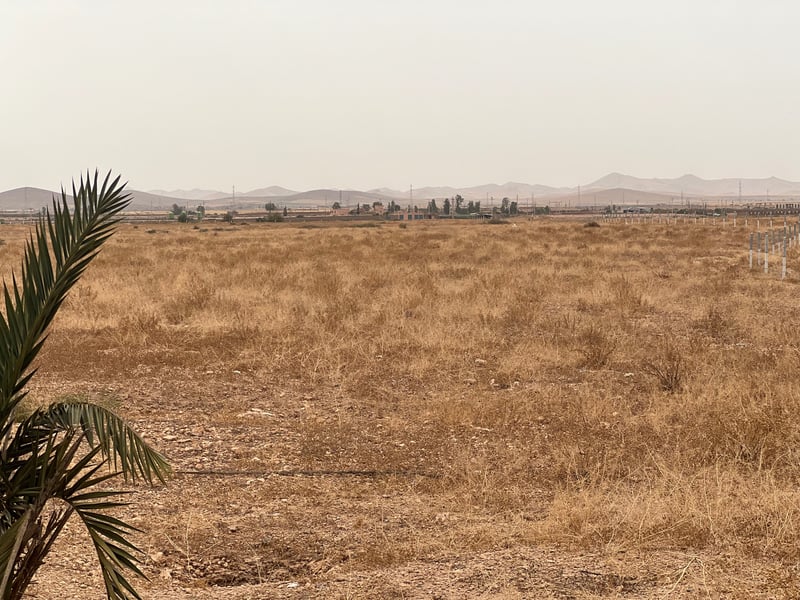 أرض للبنيان 5 هكتارات للبيع، الرميلة مراكش — Terrain zone immeuble, Ouahat Sidi Brahim