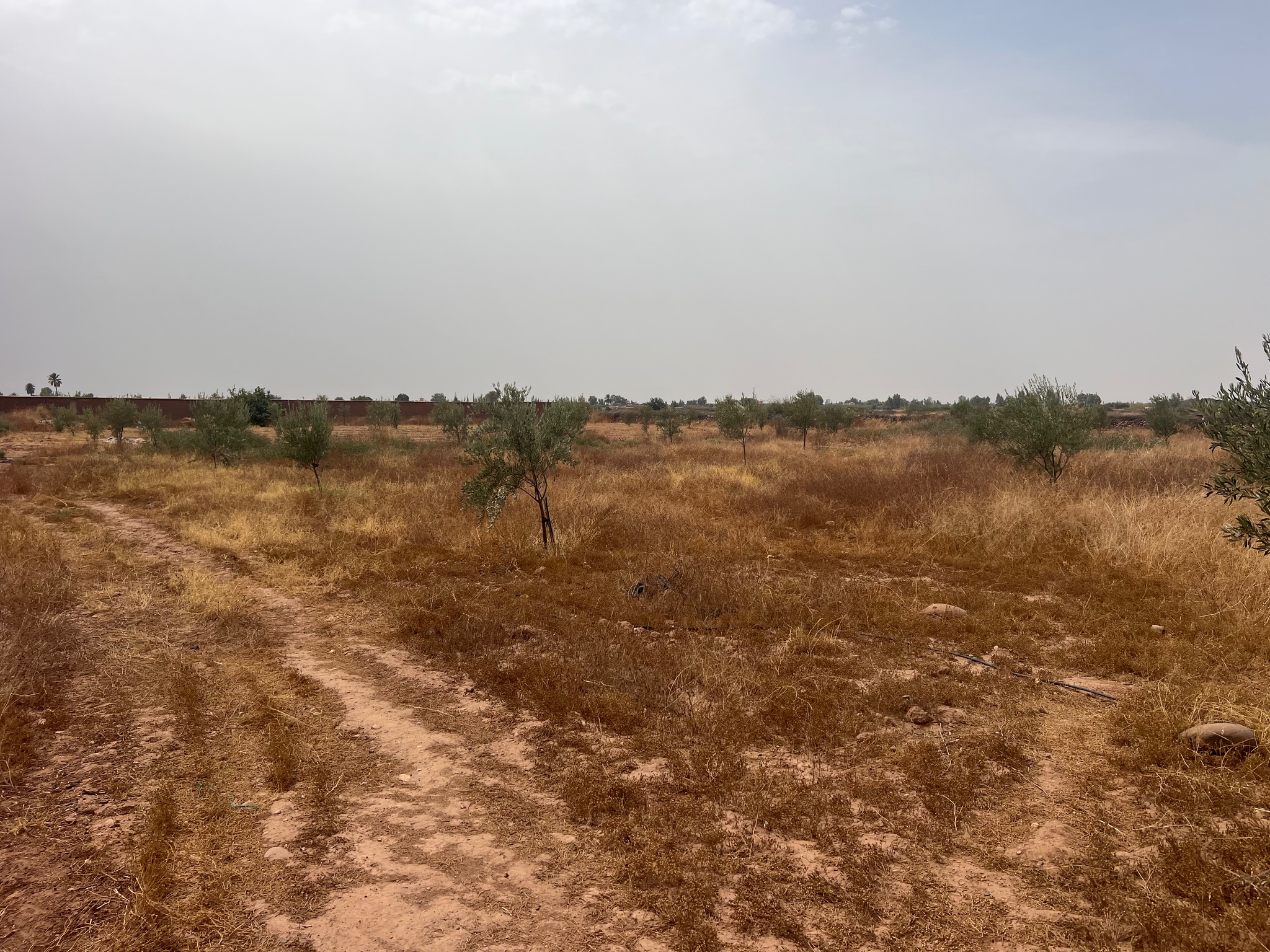 Terrain 2400 m² à vendre à Sidi Abdellah Ghiate, Marrakech — miniature 3