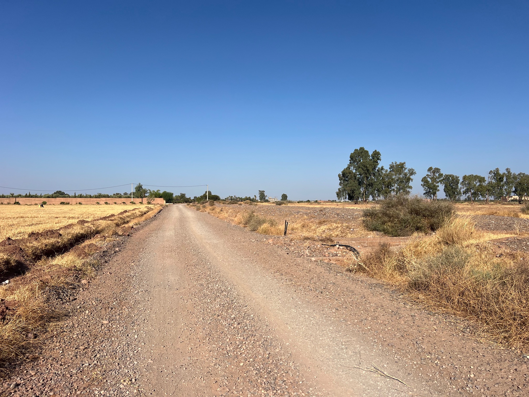 Vente / Achat : Terrain zone touristique, 6,3 ha , Route de tahanaoute , Marrakech  — miniature 3