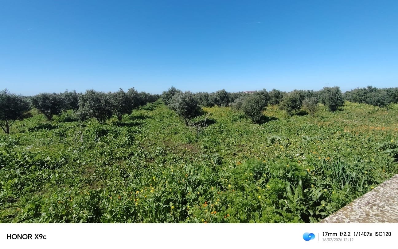 Exceptionnelle ferme agricole à vendre, Ouled Yahya, Benslimane — miniature 5