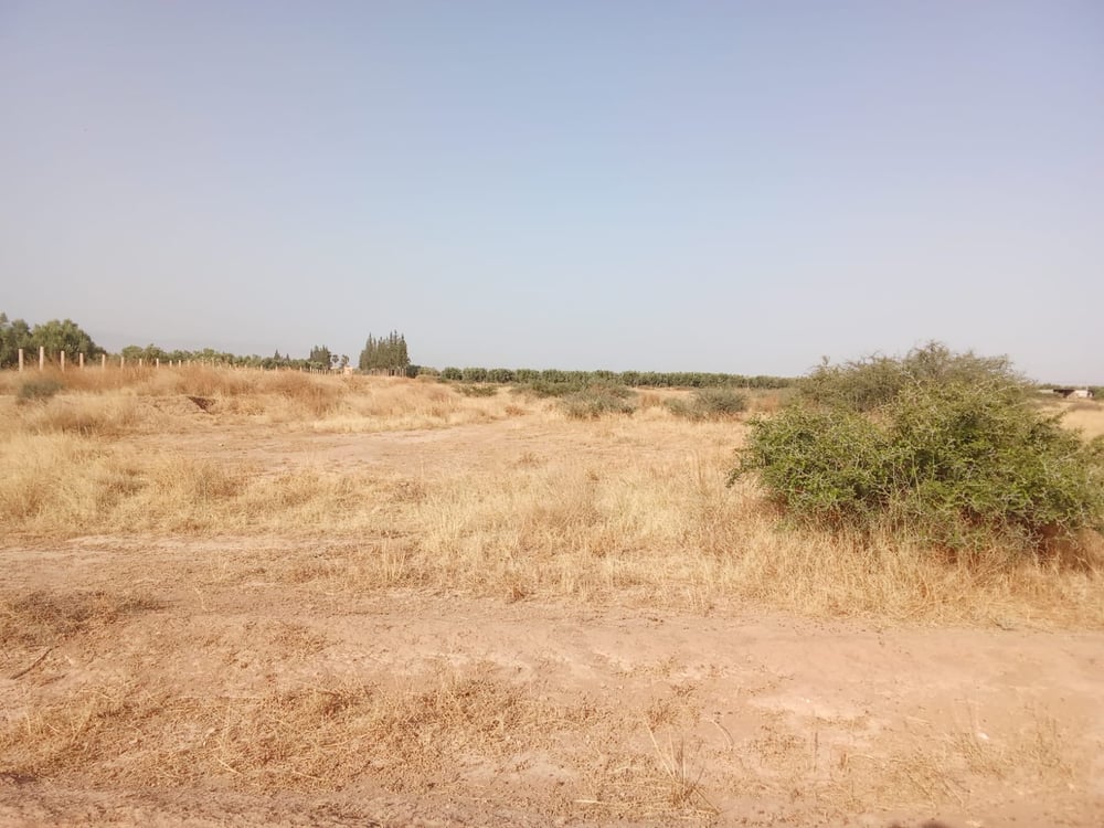 Terrain agricole 102 ha à vendre à M'jat, Guemassa, Marrakech — photo 3