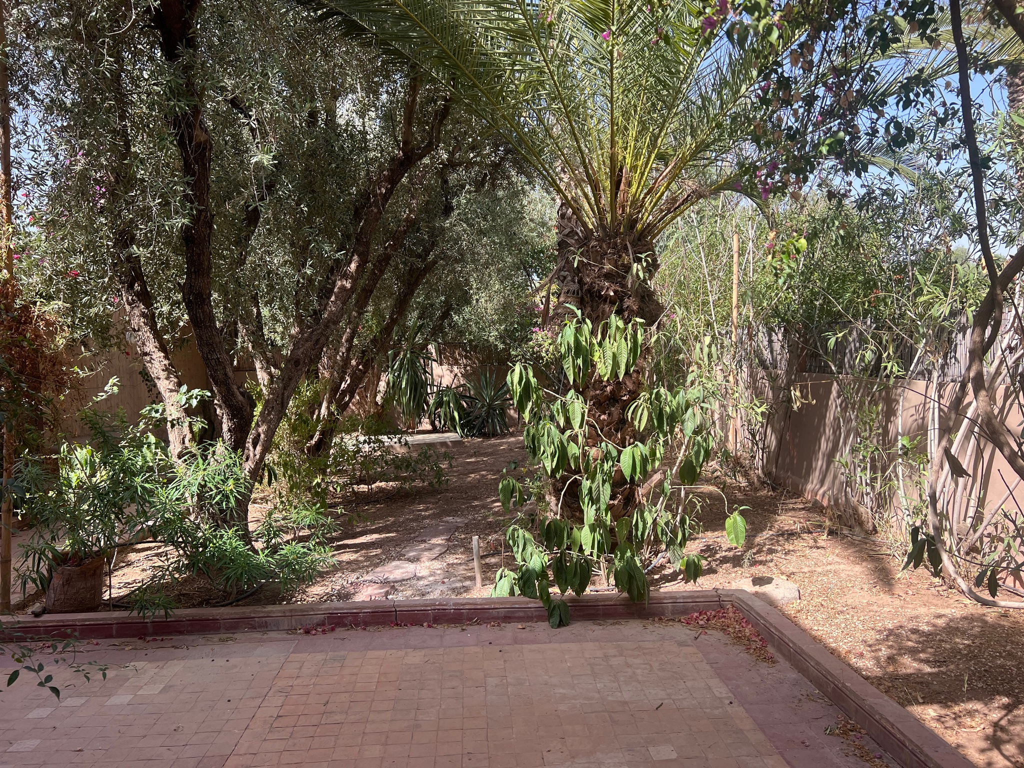 Villa pavillonnaire à louer Palmeraie, Marrakech — miniature 21