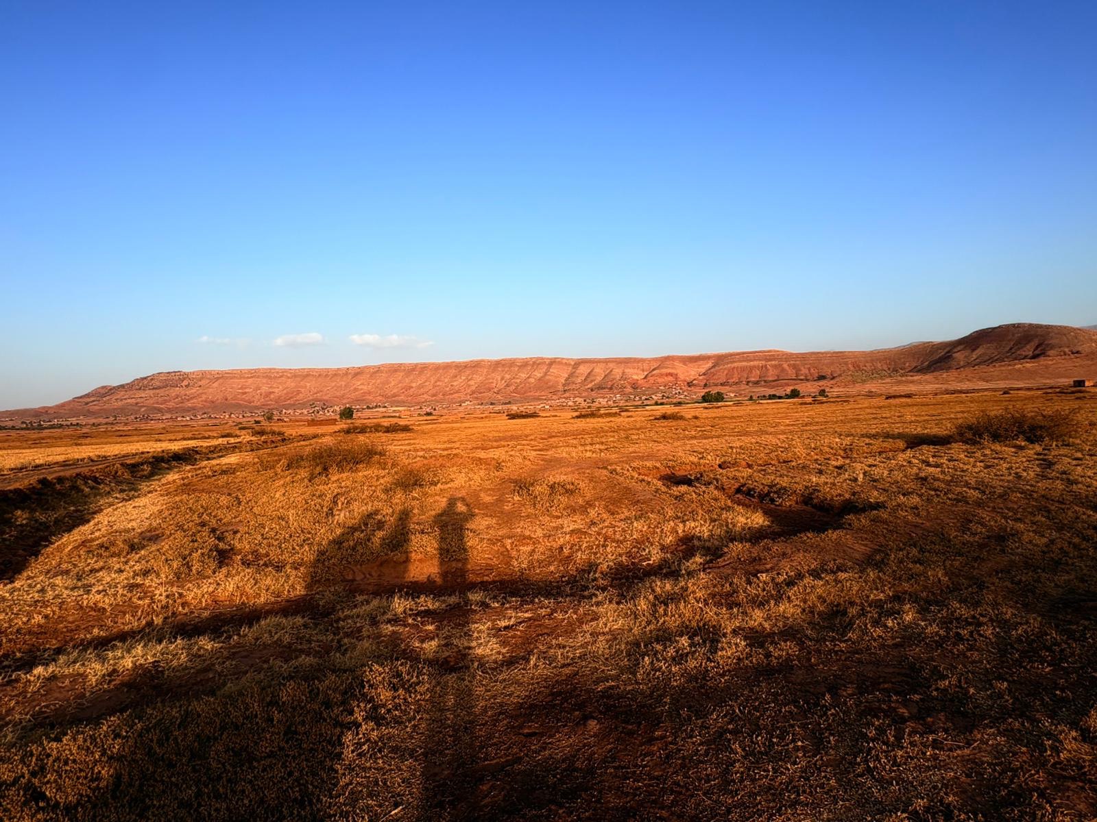 Terrain agricole 1,8 ha à vendre, Route Ouarzazate, Marrakech — miniature 2