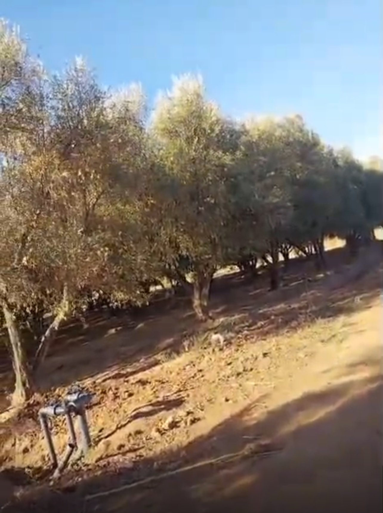 Ferme 3,5 ha à vendre, Route de Fès, Marrakech — miniature 3