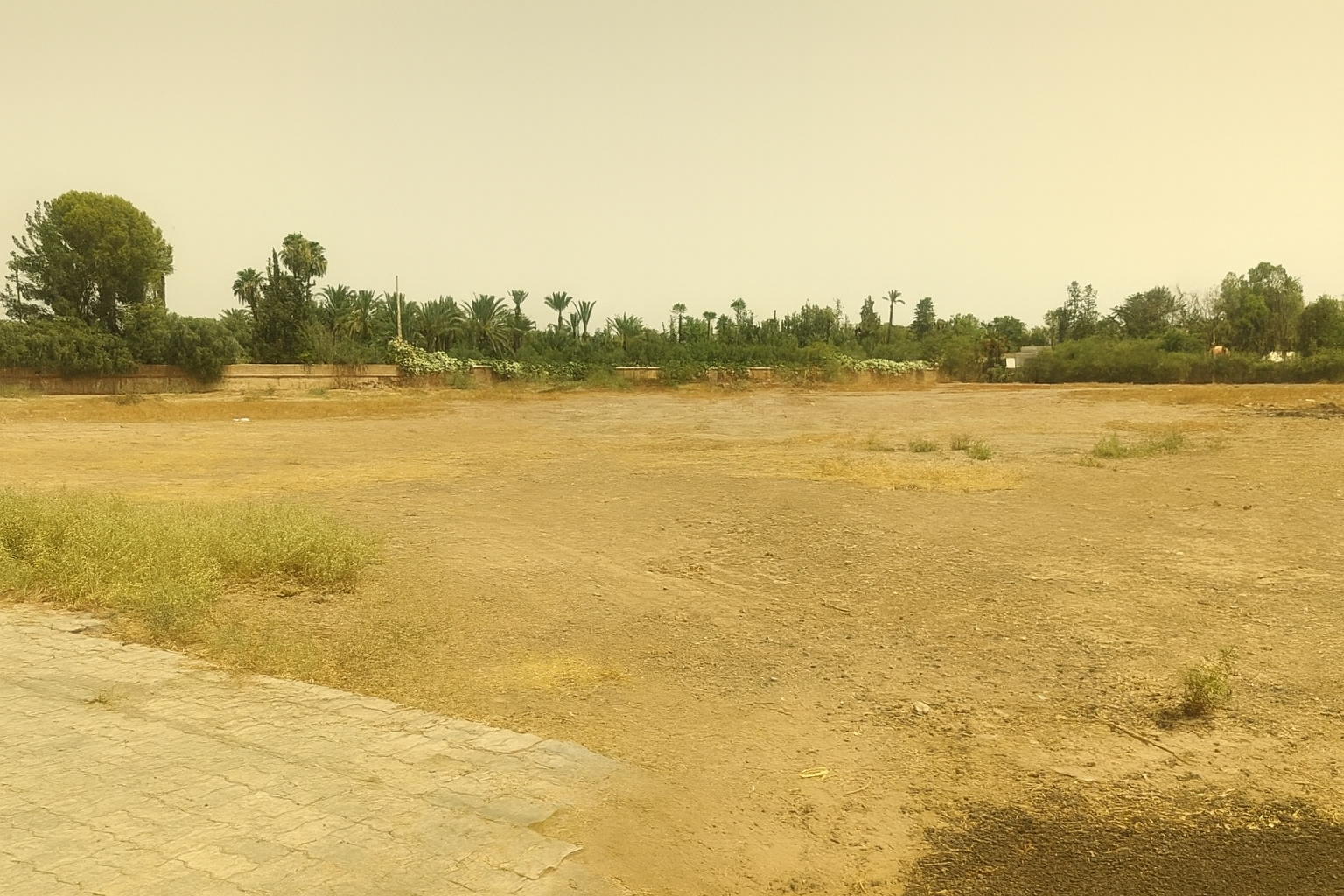 Terrain 1 ha à vendre Palmeraie, Marrakech — miniature 4