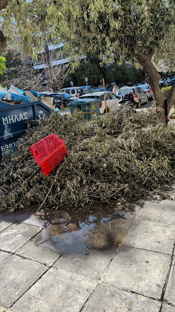 Πεταμένα κλαδιά από κλάδεμα των ελιών πάνω στο πεζοδρόμιο, χωρίς καμία σήμανση 