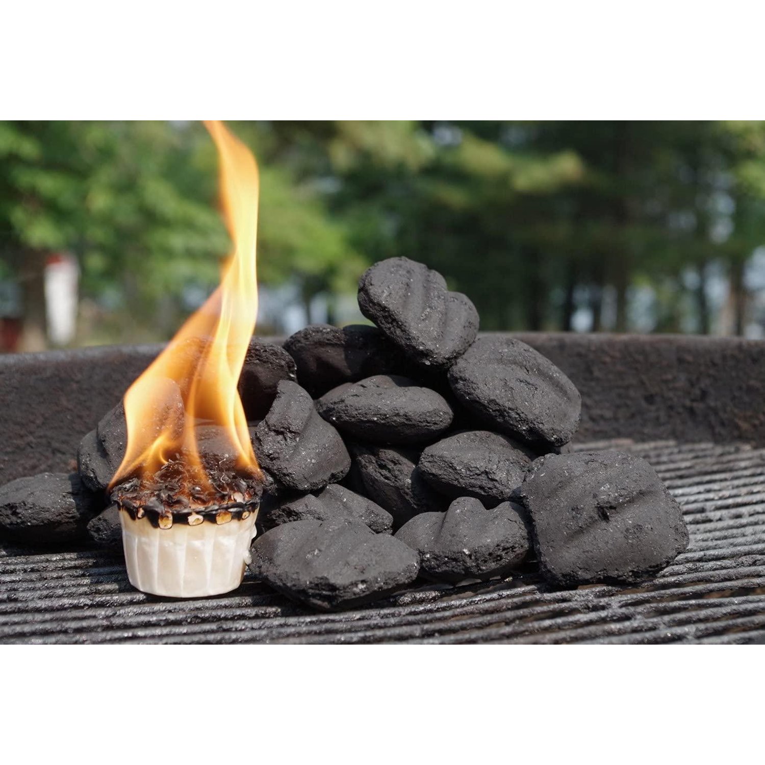 All Natural Fire Starters (15+ Minute Burn Time)