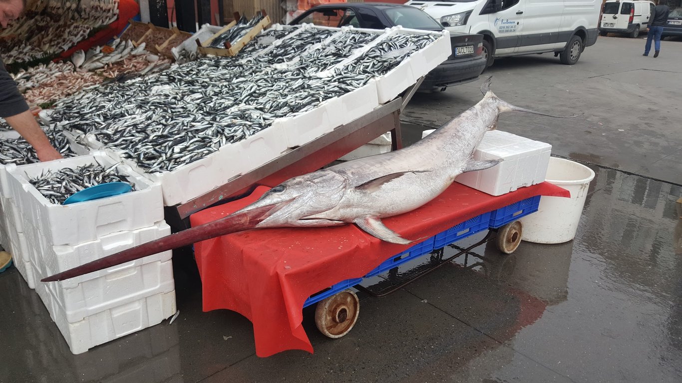 Yıldız Yakamoz Balık Restaurant