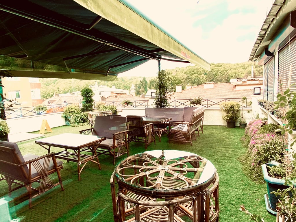 Bella Vista Organizasyon