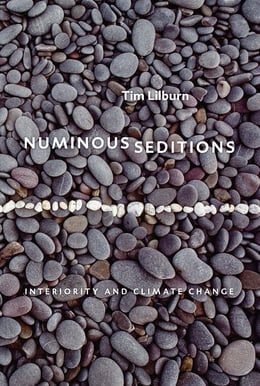Cover image (Numinous Seditions)