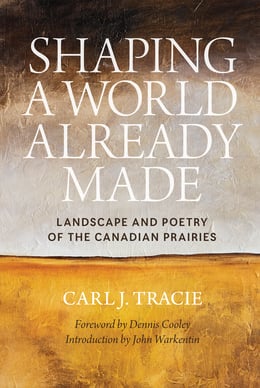 Cover image (Shaping a World Already Made)