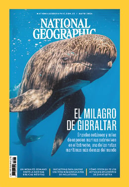 Imagen de la portada (National Geographic - 25/4/2024)